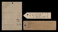 蘭嶼角鴞藏品圖，第6張